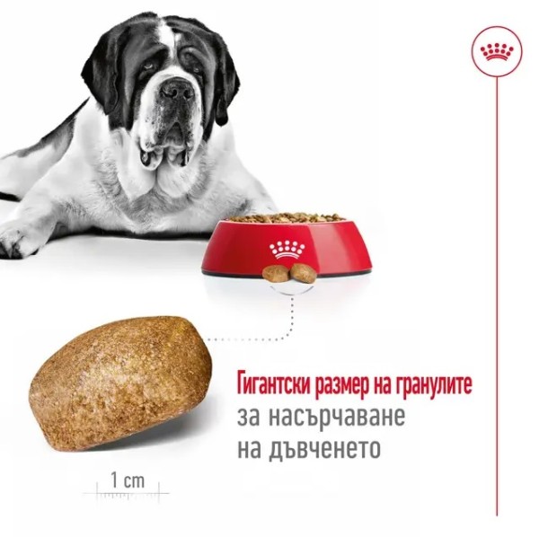 Royal Canin Adult Dog Giant 15kg - Пълноценна суха храна за кучета от гигантски породи 15 кг